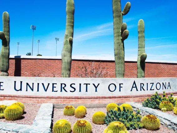 UofA Sign Outdoors