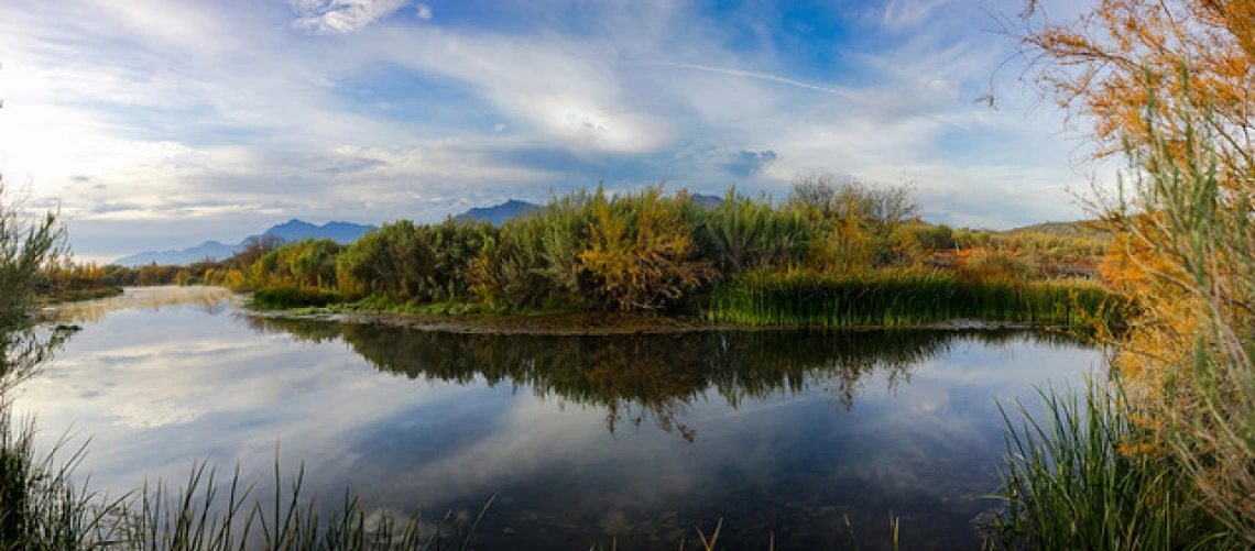 A serene pool of water is surrounded by reeds and water flora. In the background are shadows of a mountain range against a blue sky filled with soft white rain clouds.