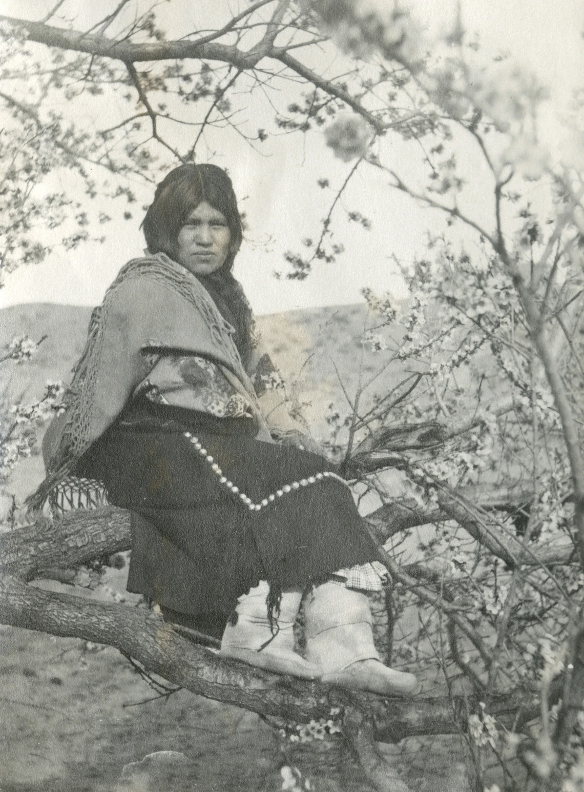 A Hopi woman in traditional dress sits on a large tree branch