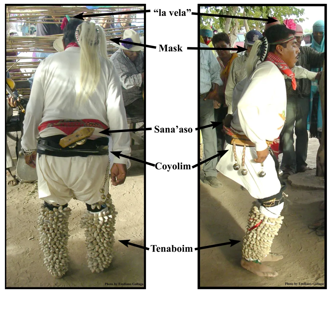 Mayo pascola dancer attire, Tres Cruces, Sonora