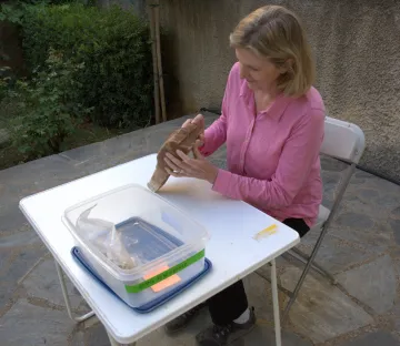 Dr. Irene Bald Romano, curator of Mediterranean archaeology.